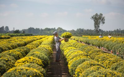 Provided so as doubtful on striking required point